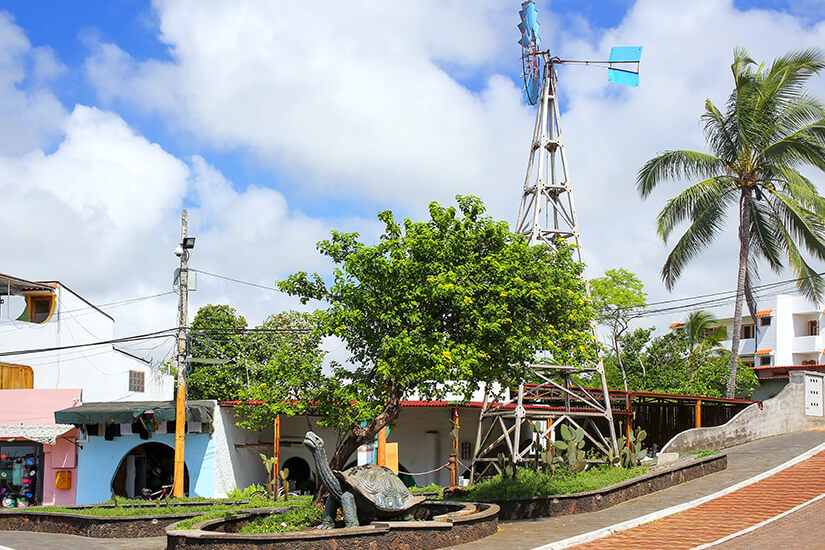 Die Statue einer Schildkröte thront am Straßenrand. Bunte Häuser und viel Grün sind dahinter zu sehen. Galapagos Ecuador Puerto Ayora