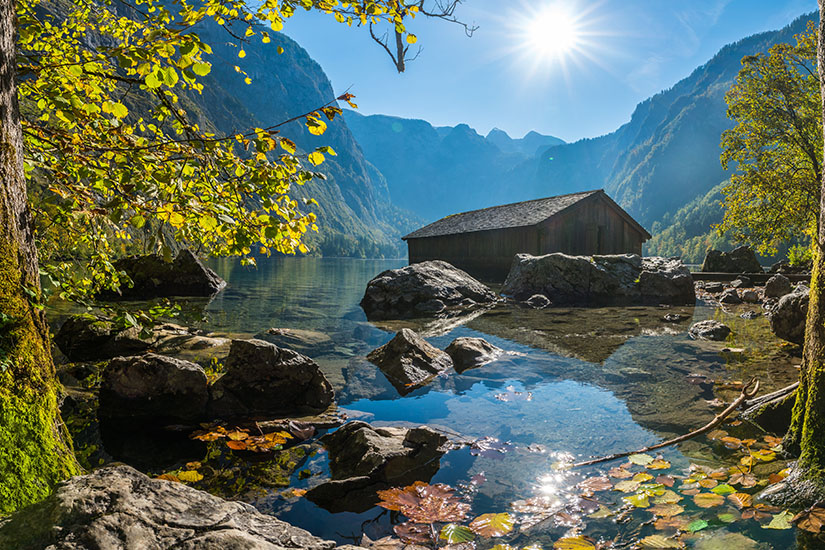 Blick durch herbstliche Bäume auf das glasklare Wasser des Obersees im Berchtesgadener Land, in dem sich bunte Blätter und große Steine am Ufer abzeichnen. Im ruhigen See steht eine urige Bootshütte aus Holz, umgeben von aufragenden, steilen Felswänden der Alpen. Schoenste Orte Sueddeutschland Berchtesgadener Land