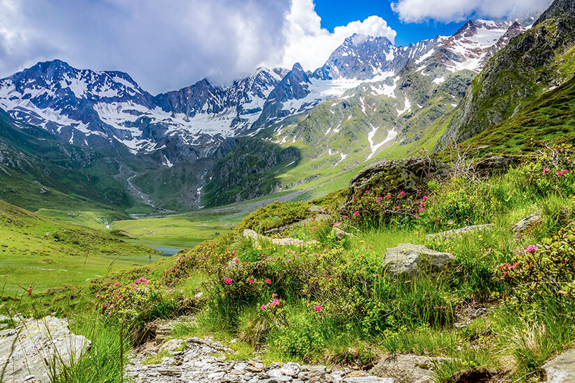Eine alpine Landschaft mit grünen Wiesen, blühenden Bergpflanzen und verstreuten Felsen erstreckt sich bis zu den schroffen Gipfeln im Hintergrund. Mehrere Berge tragen noch Schneefelder und kleine Gletscher, während Wolken um die höchsten Spitzen ziehen. Oetztal Fruehling