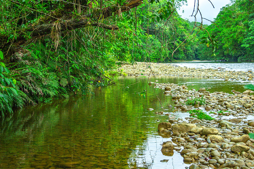 Ein ruhiger Flussabschnitt inmitten dichter grüner Vegetation lädt zum Entspannen in der Natur ein. Das klare Wasser, die Kiesufer und die tropische Umgebung vermitteln eine friedliche, abgeschiedene Atmosphäre. Cali Kolumbien San Cipriano