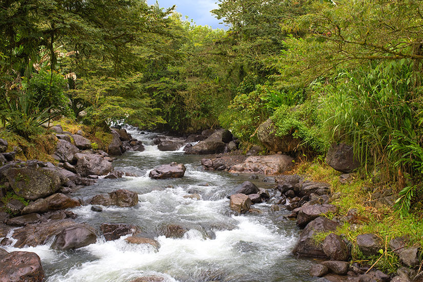 Ein klarer, schnell fließender Fluss schlängelt sich durch eine üppig grüne Landschaft. Felsen, dichtes Blattwerk und tropische Pflanzen verleihen der Szene eine ruhige Naturatmosphäre. Cali Kolumbien Fluss