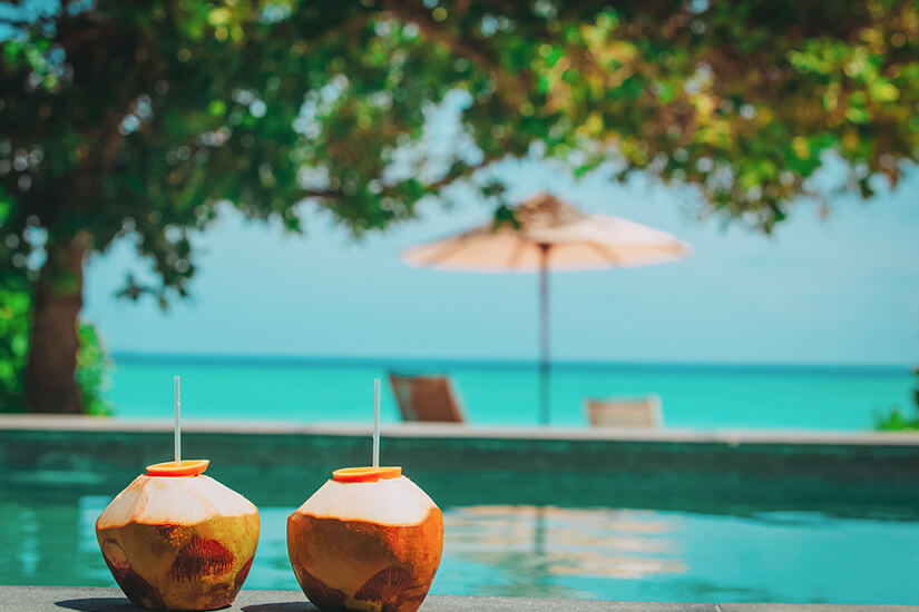 Zwei frische Kokosnüsse mit Trinkhalmen und Orangenscheiben stehen am Rand eines Infinity-Pools, der nahtlos in das türkisblaue Meer überzugehen scheint, im Hintergrund laden ein Sonnenschirm und Liegestühle zum Verweilen ein. Malediven Essen Getraenke