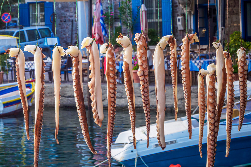 Mehrere lange, frisch gefangene Oktopus-Tentakel hängen nebeneinander an Schnüren zum Trocknen in einer Reihe auf. Im leicht unscharfen Hintergrund sind ein blaues Fischerboot am Wasser sowie die Tische einer griechischen Taverne mit blau-weiß karierten Decken zu erkennen. Lesbos Griechenland Tintenfische