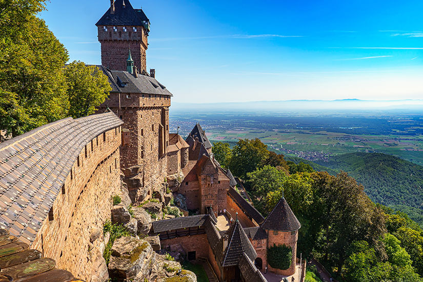 Ein weiter Blick von oben auf die imposante Hohkönigsburg, eine mächtige Festung aus rötlichem Sandstein, die auf einem bewaldeten Berghang thront. Die Burganlage zeigt dicke Festungsmauern mit Schindeldächern, einen hohen quadratischen Hauptturm sowie mehrere kleinere Wehrtürme und Innenhöfe. Riquewihr Frankreich Haute Koenigsbourg