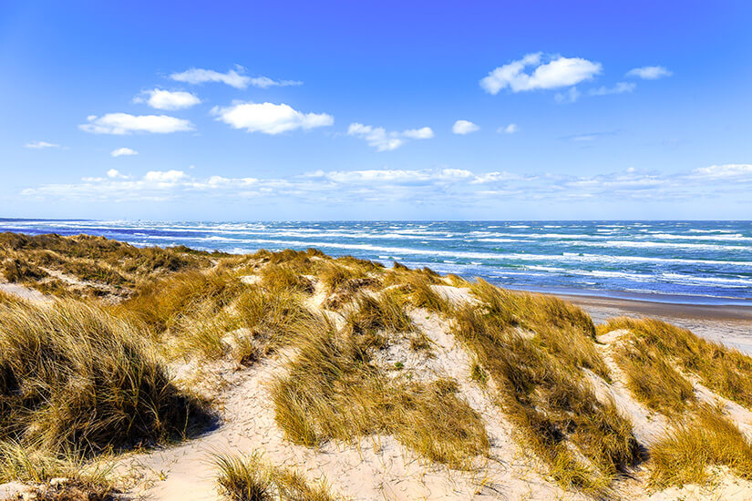 Sanddünen mit trockenem Dünengras ziehen sich entlang einer windgeprägten Küstenlandschaft. Dahinter erstreckt sich ein breiter Strand mit lebhaften Wellen unter einem klaren blauen Himmel mit wenigen Wolken. Juetland Tversted Strand