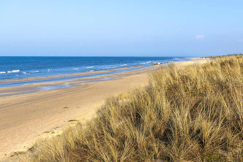 Ein breiter Sandstrand erstreckt sich entlang einer ruhigen Küste, begleitet von Dünen mit hohem, trockenem Gras. Das Meer zeigt kleine Wellen, während der Himmel klar und nahezu wolkenlos erscheint. Juetland Kjul Strand
