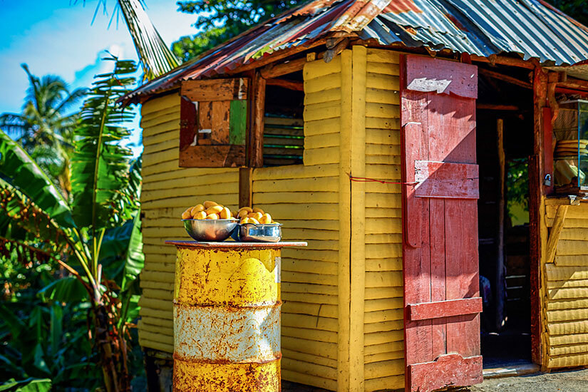 Vor einer farbenfroh gelb-rot gestrichenen Holzhütte mit Wellblechdach steht ein rostiges Ölfass mit zwei Schüsseln voller frisch geernteter Mangos, umgeben von tropischer Vegetation mit Bananenstauden. Dominikanische Republik Essen Mango