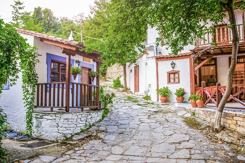Eine schmale, gepflasterte Gasse führt zwischen traditionellen Häusern mit weißen Fassaden und Holzbalkonen hindurch. Zahlreiche Pflanzen, Blumentöpfe und schattenspendende Bäume verleihen dem Ort eine gemütliche und einladende Atmosphäre. Thassos Gassen