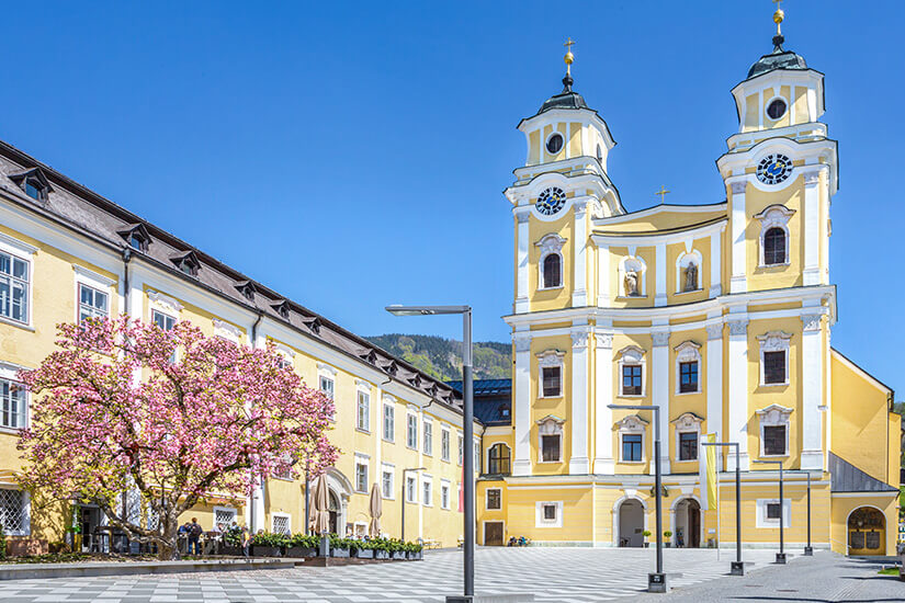 Eine große barocke Kirche mit zwei Türmen prägt einen weitläufigen Platz und ist von hellen Gebäuden umgeben. Ein blühender Baum setzt einen farbigen Akzent vor der Fassade und sorgt für eine freundliche Atmosphäre. Mondsee Basilika