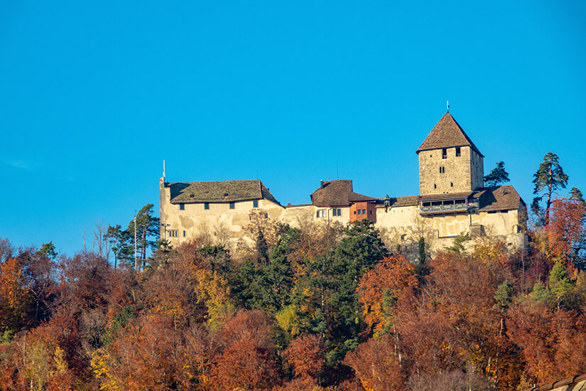 Die mittelalterliche Burg Hohenklingen thront auf der Spitze eines bewaldeten Hügels vor einem wolkenlosen, strahlend blauen Himmel. Die historische Burganlage mit ihren hellen Steinmauern umfasst einen markanten, quadratischen Bergfried mit spitzem Ziegeldach auf der rechten Seite sowie langgestreckte Wohnbauten mit dunklen Dächern auf der linken Seite. Der Hang im Vordergrund ist dicht mit Bäumen bewachsen, deren Blätter in herbstlichen Farben von Goldgelb bis hin zu tiefem Rostrot leuchten. Stein am Rhein Schweiz Burg Hohenklingen