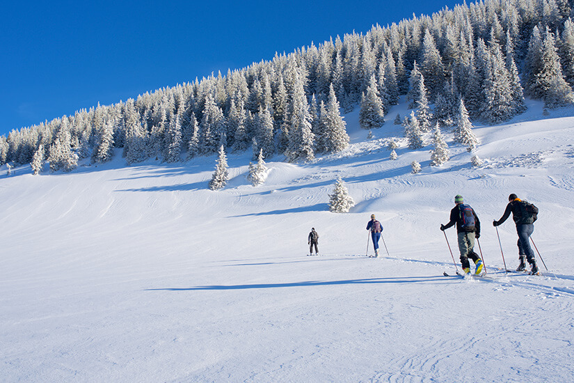 Vier Personen auf Skiern bewegen sich durch die verschneite Waldlandschaft des Breitenbergs. Pfronten Allgaeu Skigebiet