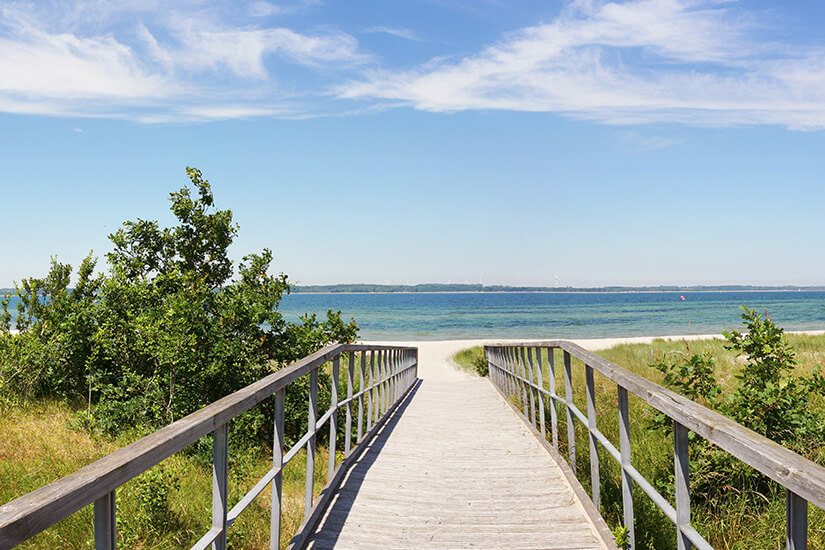 Ein hölzerner Steg führt zwischen Dünenpflanzen und niedrigen Sträuchern direkt zum hellen Sandstrand. Dahinter öffnet sich der Blick auf die ruhig schimmernde Ostsee und den weiten Horizont. Die klare Perspektive weckt sofort Vorfreude auf entspannte Stunden am Wasser. Hundestrände Ostsee Eckernförde
