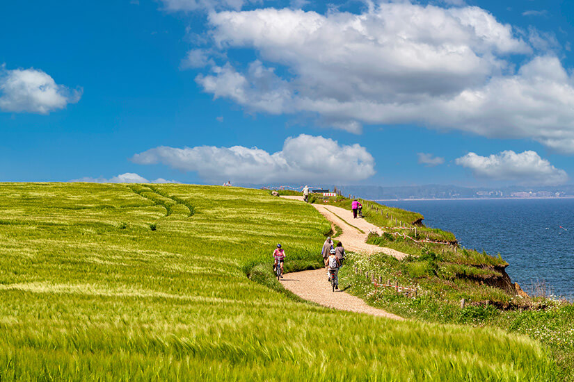 Ein geschwungener Weg führt über grüne Felder entlang der hohen Steilküste. Spaziergänger und Radfahrende genießen den freien Blick auf die Lübecker Bucht. Blauer Himmel, offene Landschaft und leuchtendes Gras schaffen eine lebendige Sommeratmosphäre. Hundestrände Ostsee Travemünde