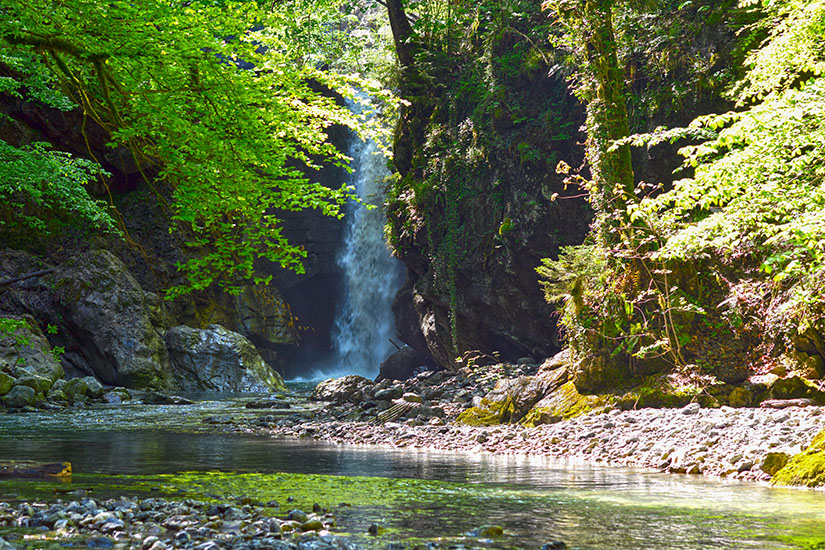 Wasserfall zwischen Felswänden in der Rappenlochschlucht. Das Wasser fällt in ein flaches Becken. Laub und Moos bedecken die umliegenden Felsen. Dornbirn Österreich-Rappenlochschlucht
