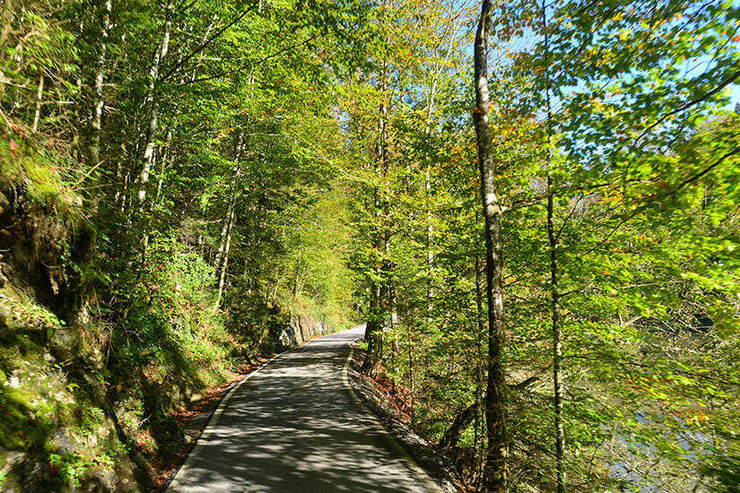 Eine schmale Straße führt durch dichten, sonnendurchfluteten Wald. Das Motiv vermittelt die abgeschiedene Atmosphäre der bergigen Umgebung rund um Dornbirn. Dornbirn Österreich Strasse