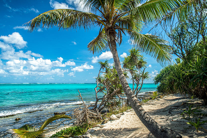 Ein tropischer Naturstrand auf Vanuatu mit feinem Sand und einer schräg über den Weg ragenden Palme im Vordergrund. Der sandige Pfad ist von dichten, grünen Sträuchern und tropischen Pflanzen gesäumt. Direkt daneben erstreckt sich das seichte, in intensivem Türkis leuchtende Meer, das an ein flaches, felsiges Riff grenzt, unter einem strahlend blauen Himmel mit lockeren, weißen Schönwetterwolken. Vanuatu Willkommen
