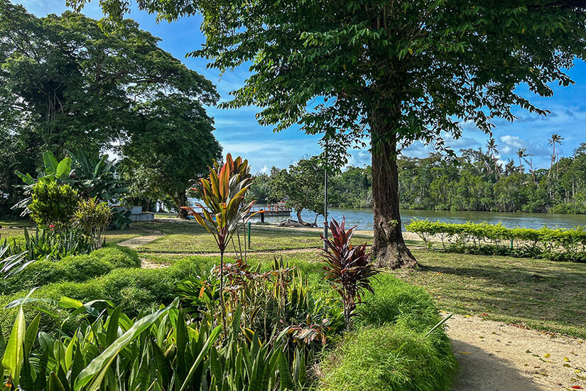 Ein üppig grüner Parkbereich an der Uferpromenade in Port Vila. Im Vordergrund wachsen dichte tropische Pflanzen, darunter Schwertfarne und dekorative Gewächse mit rötlich-grünen Blättern. Ein schmaler Sandweg führt vorbei an einer Wiese mit großen, schattenspendenden Bäumen hin zum ruhigen Wasser der Bucht, die im Hintergrund von einer dicht bewaldeten Küstenlinie gesäumt wird. Vanuatu Port Vila