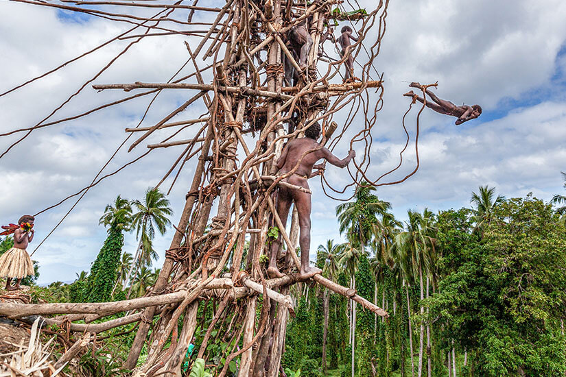Eine spektakuläre Aufnahme des traditionellen Naghol-Bungee-Springens auf Vanuatu. Im Mittelpunkt steht ein hoher, aus Ästen, Holzstämmen und Lianen kunstvoll zusammengebundener Holzturm. Ein einheimischer Springer im traditionellen Lendenschurz befindet sich gerade mitten im Sprung und schwebt horizontal in der Luft, gehalten von dicken Lianen, die an seinen Knöcheln befestigt sind. Weitere Männer stehen auf den verschiedenen Plattformen des hölzernen Gerüsts, während im Hintergrund ein dichte Palmenlandschaft unter einem bewölkten, blau-weißen Himmel zu sehen ist. Vanuatu Naghol