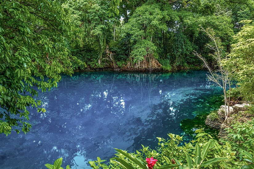 Ein Blick auf das kreisrunde, intensiv blau schimmernde Wasserbecken des Matevulu Blue Hole. Die natürliche Süßwasserquelle spiegelt sanft die dichte, grüne Dschungelvegetation und die hoch aufragenden Bäume am gegenüberliegenden Ufer wider. Im Vordergrund rahmen saftige, grüne Blätter und eine einzelne rote Tropenblüte das unberührte, klare Gewässer ein, das an den Rändern leicht türkisfarbene Töne annimmt. Vanuatu Matevulu Blue Hole