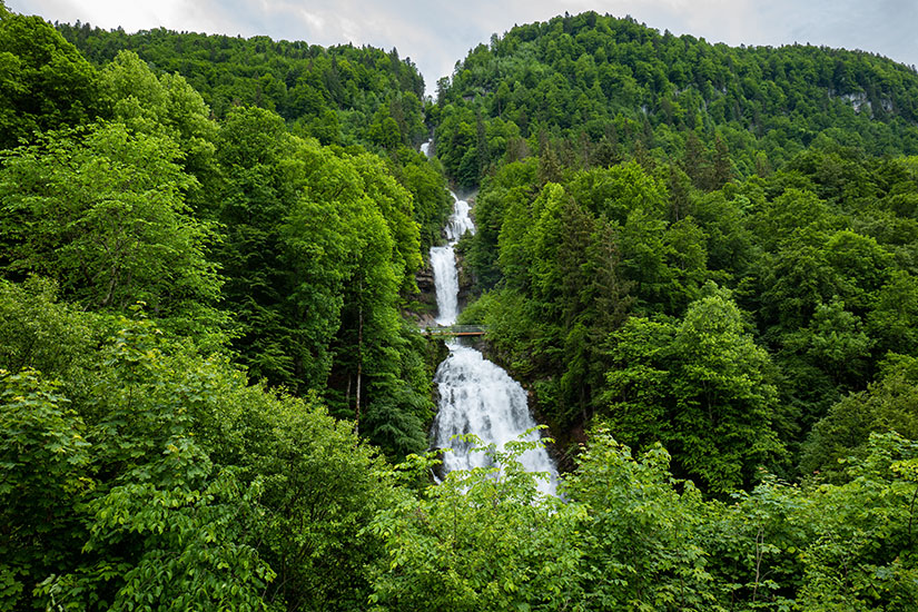 Die Giessbachfälle strömen inmitten grüner Natur hervor. Brienz Schweiz Wasserfall
