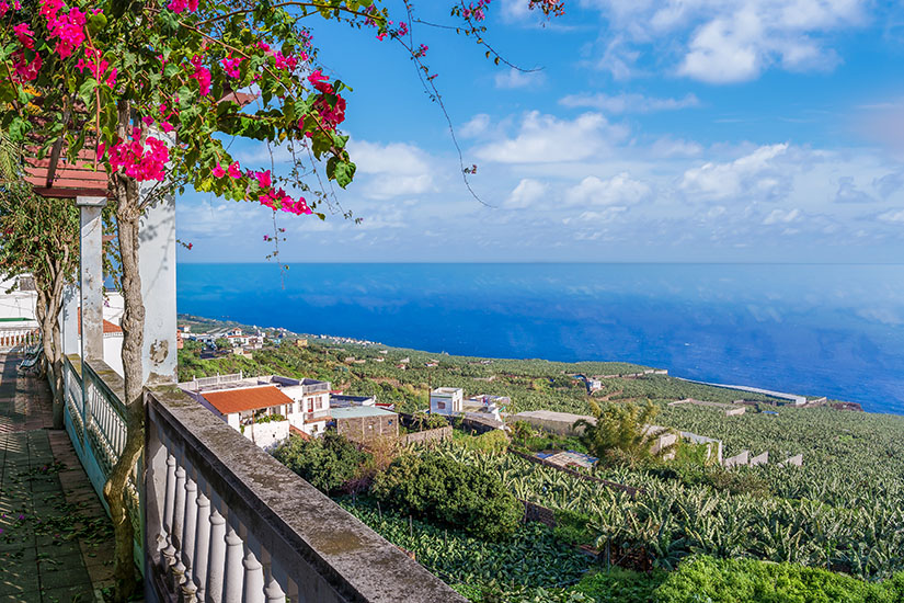 Ein weiter Ausblick von einer schattigen Terrasse mit weißer Steinbalustrade auf die grüne Küstenlandschaft von La Palma. Im Vordergrund ranken leuchtend pinke Bougainvillea-Blüten an einem Holzgebälk empor. Der Blick schweift über weitläufige, grüne Bananenplantagen und vereinzelte weiße Häuser sanft abfallend hinab zum tiefblauen Atlantischen Ozean unter einem sonnigen, leicht bewölkten Himmel. La Palma Spanien Willkommen