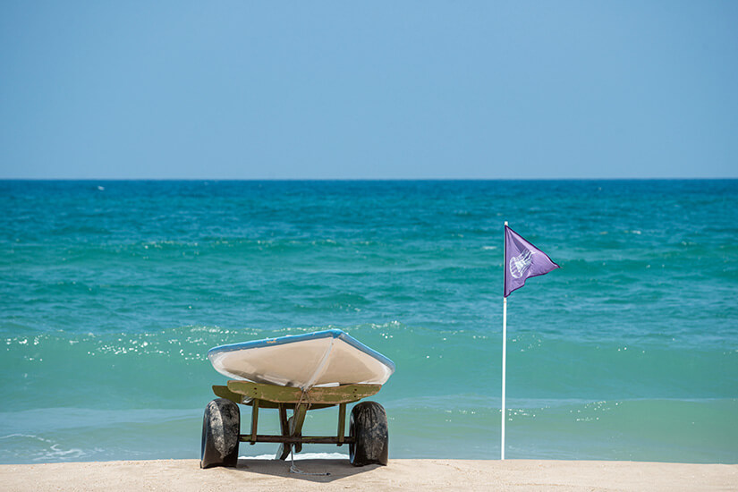 Ein Surfbrett auf Rädern und eine lila Flagge mit Quallen-Symbol stehen am Sandstrand. Im Hintergrund glitzert das blau-grüne Meer. Flaggen am Strand lila