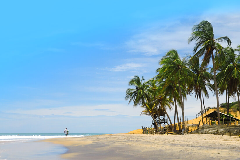Einsam spaziert eine Person am weiten, menschenleeren Sandstrand entlang, während im Vordergrund im Wind wiegende Kokospalmen und eine kleine Strandhütte zu sehen sind. Reiseziele August Sri Lanka