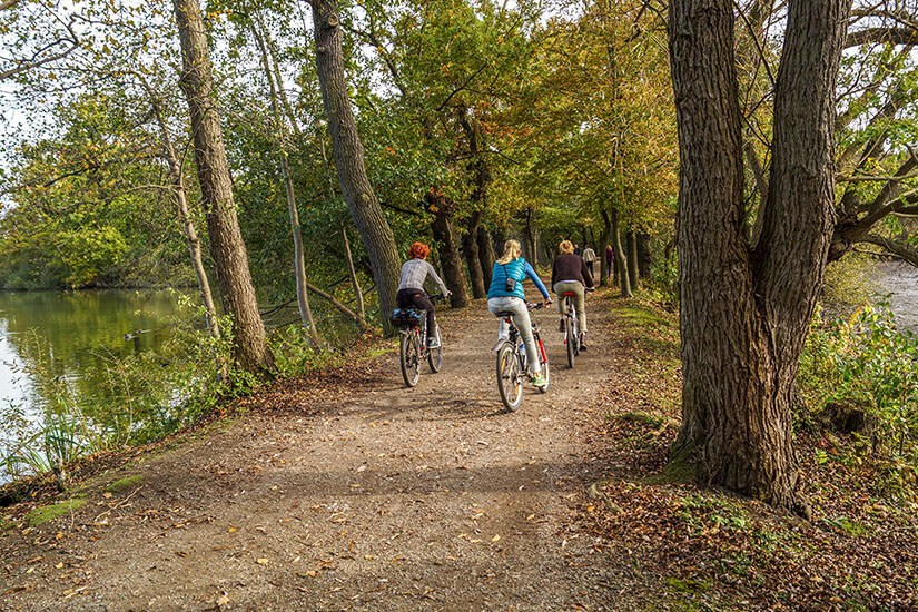 Zu erkennen ist ein unbefestigter Radweg, der durch eine grüne Park- oder Flusslandschaft führt. Mehrere Menschen fahren mit dem Fahrrad zwischen hohen Bäumen, während links ein Gewässer den Weg begleitet. Niedersachsen Radtour
