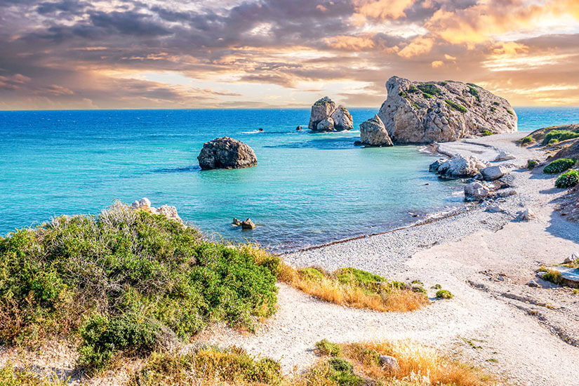 Ein Naturstrand auf Zypern mit Blick auf den legendären Aphrodite-Felsen (Petra tou Romiou). Im Vordergrund erstreckt sich ein helles Kieselufer mit tiefen Grüntönen spärlicher Bepflanzung. Das türkisblaue bis tiefblaue Meer umspült die markanten Felsformationen im Wasser, während der dramatischer Himmel von goldenen und rosa Wolken im Licht des Sonnenuntergangs erhellt wird. All Inclusive Urlaubsziele Zypern