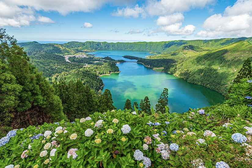 Blick über die Zwillingsseen von Sete Cidades, eingerahmt von Hortensien im Vordergrund. Grünes und blaues Wasser schimmern zwischen bewaldeten Kraterhängen. Das wohl ikonischste Motiv der gesamten Azoren. Azoren Portugal Sete Cidades