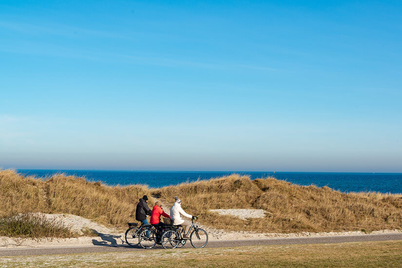 Zu erkennen ist ein Küstenradweg, auf dem drei Menschen gemeinsam mit dem Fahrrad an Dünen entlangfahren. Im Hintergrund erstrecken sich das ruhige Meer und ein wolkenloser blauer Himmel. Radregionen Deutschland Ostseekuestenradweg