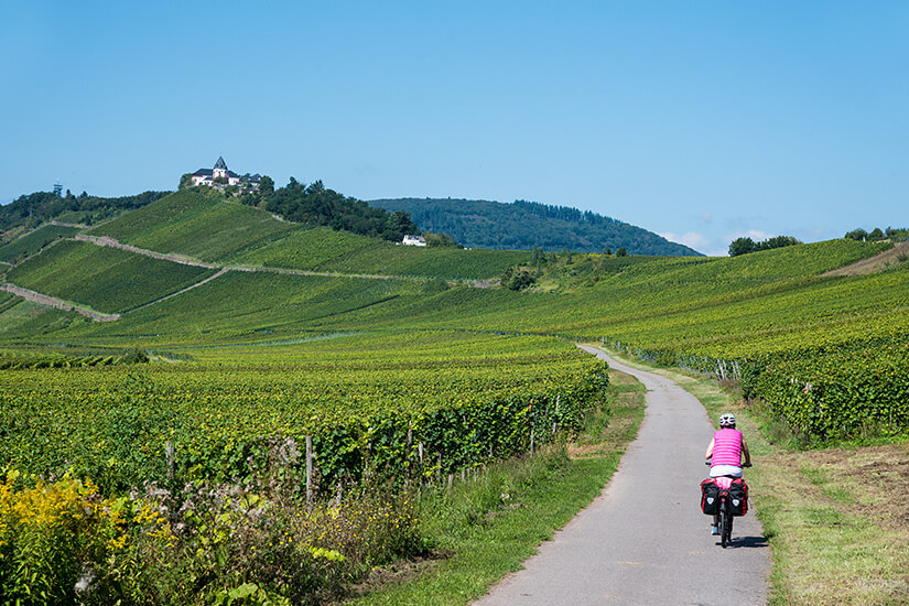 Zu erkennen ist ein Radweg, der sich durch weitläufige Weinberge schlängelt und auf dem eine Person mit Gepäcktaschen Fahrrad fährt. Auf einem Hügel im Hintergrund steht eine Kirche oder Burganlage, umgeben von sanften Höhen unter einem klaren blauen Himmel. Radregionen Deutschland Moselradweg