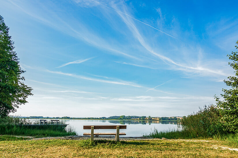 Eine Holzbank steht auf einer grünen Wiese mit Blick auf einen ruhigen See in der Uckermark. Das stille Gewässer spiegelt das gegenüberliegende Ufer mit Bäumen und Feldern wider. Umrahmt wird die Szenerie von Laubbäumen und Schilf an den Seiten, während sich darüber ein weiter, blauer Himmel mit zarten, weißen Schleierwolken erstreckt. Urlaub mit Hund Geheimtipps Uckermark