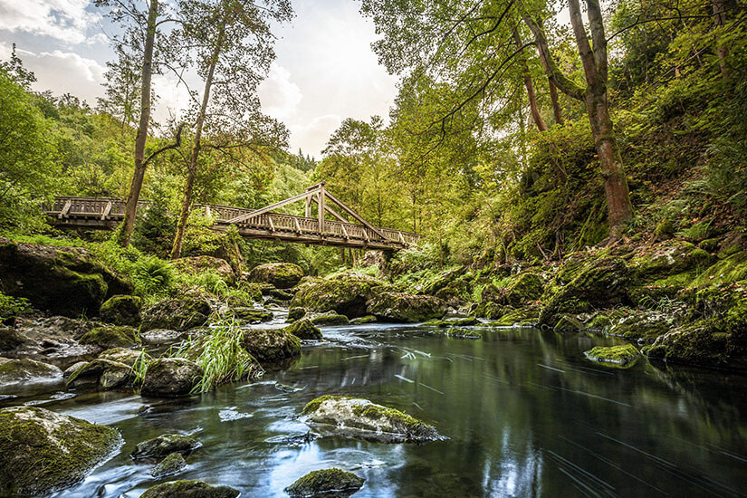 Ein klarer Fluss schlängelt sich durch ein dichtes, grünes Waldgebiet im Frankenwald. Im Flussbett liegen zahlreiche mit Moos bedeckte Steine und Felsblöcke. Im Hintergrund führt eine rustikale Holzbrücke über das Gewässer, umgeben von hohen Bäumen und üppigem Grün unter einem hellen Himmel. Urlaub mit Hund Geheimtipps Frankenwald