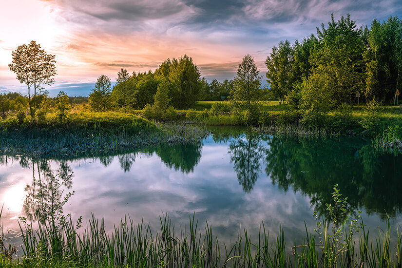 Ein ruhiger See in den Masuren bei Sonnenuntergang, in dessen spiegelglatter Wasseroberfläche sich der bewaldete Uferstreifen und die dichten Wolken spiegeln. Im Vordergrund ragt Schilf aus dem Wasser, während die untergehende Sonne die Bäume am Ufer und den dramatischen Abendhimmel in ein warmes, orange-rosa Licht taucht. Urlaub mit Hund Geheimtipps Masuren