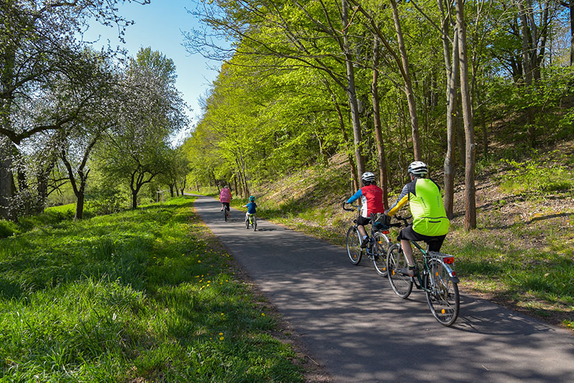 Zu erkennen ist ein asphaltierter Radweg, auf dem mehrere Erwachsene und ein Kind mit dem Fahrrad durch eine grüne Wald- und Parklandschaft fahren. Hohe Bäume und blühende Wiesen säumen den Weg, während die Sonne die frühlingshafte Szenerie beleuchtet. Deutschland Werratalradweg