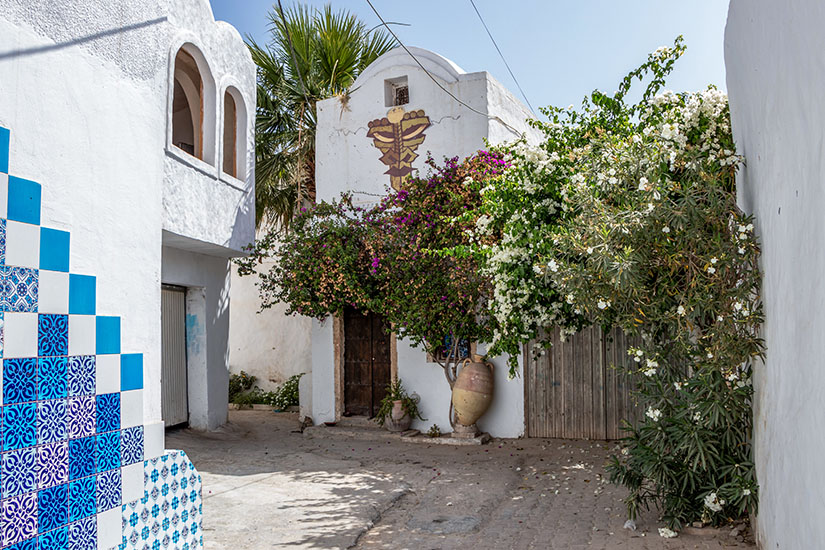 Eine schmale, sonnendurchflutete Gasse im Freilichtmuseum Djerbahood im Dorf Erriadh. Weiße Hauswände sind mit bunten, blau-weißen Fliesenmosaiken und Street-Art-Kunstwerken verzziert. Blühende, lila und weiße Bougainvillea-Sträucher ranken über ein Holztor, neben dem eine große Tonamphore lehnt. Djerba Tunesien Djerbahood