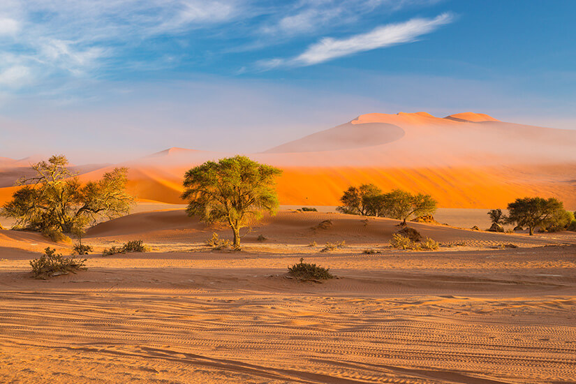Zu erkennen ist eine weitläufige Wüstenlandschaft mit hohen orangefarbenen Sanddünen und vereinzelten grünen Bäumen. Im Vordergrund verlaufen Reifenspuren durch den Sand, während sich darüber ein blauer Himmel mit feinen Wolken erstreckt. außergewoehnliche reiseziele namibia