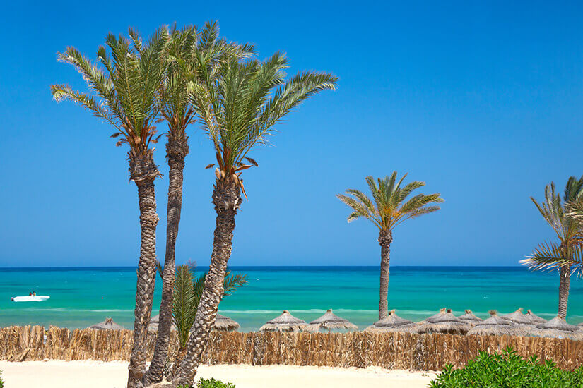 Hohe Dattelpalmen ragen vor einem wolkenlos blauen Himmel auf, während dahinter das Meer in Türkis und Petroltönen leuchtet und ein kleines weißes Motorboot vorbeizieht. Reiseziele September Djerba