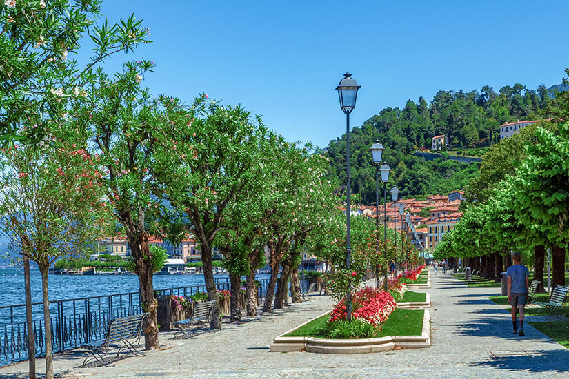 Sonnige Uferpromenade in Bellagio direkt am Comer See. Eine gepflegte Allee aus grün geschnittenen Bäumen, historischen Straßenlaternen und farbenfrohen Blumenbeeten säumt den gepflasterten Fußweg. Auf der linken Seite gibt ein schwarzes Geländer den Blick frei auf das tiefblaue Wasser und den bewaldeten Berghang im Hintergrund. Bellagio Italien Uferpromenade