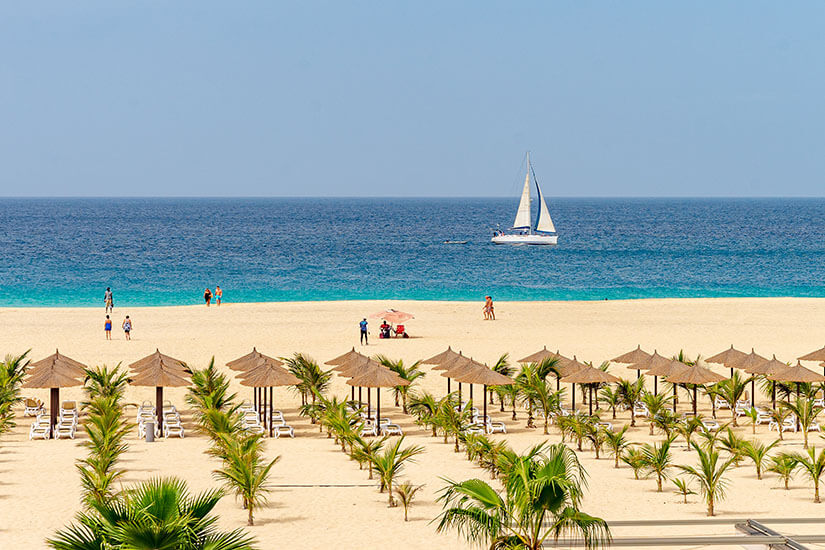 Ordentliche Reihen strohgedeckter Sonnenschirme und weißer Liegen stehen zwischen kleinen frisch gepflanzten Palmen auf hellem Sand, dahinter erstreckt sich ein weiter Strand mit einzelnen Badegästen. Wo ist es im Winter warm Sal