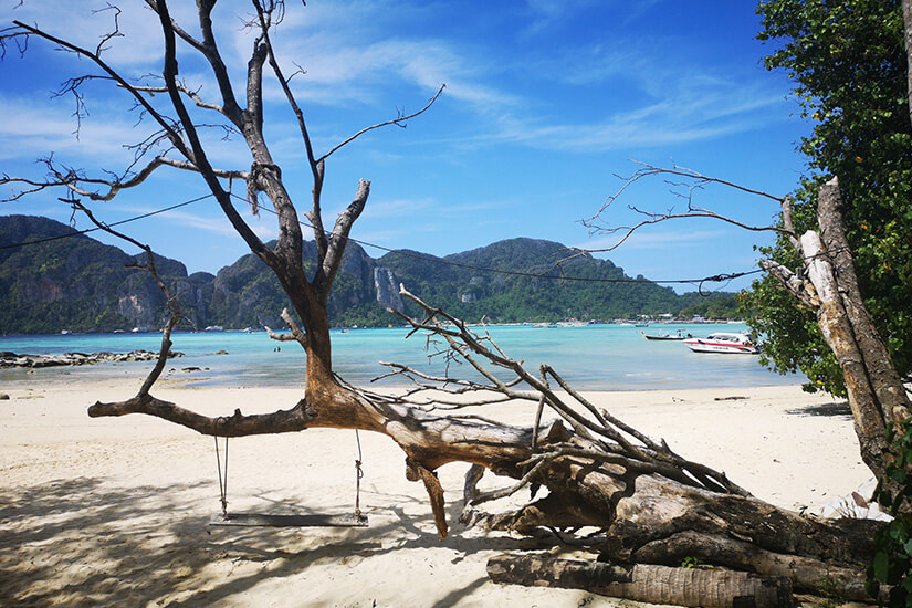 Ein umgestürzter, kahler Baum mit einer schlichten Holzschaukel an Seilen liegt auf dem hellen Sand einer ruhigen Bucht. Wo ist es im Winter warm Thailand