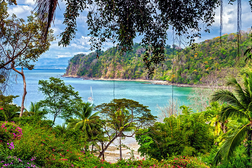 Durch überhängende Zweige und blühende Bougainvillea öffnet sich der Blick auf eine geschützte Bucht mit türkisgrünem Wasser, in der ein einzelnes Segelboot ankert. Costa Rica Kueste