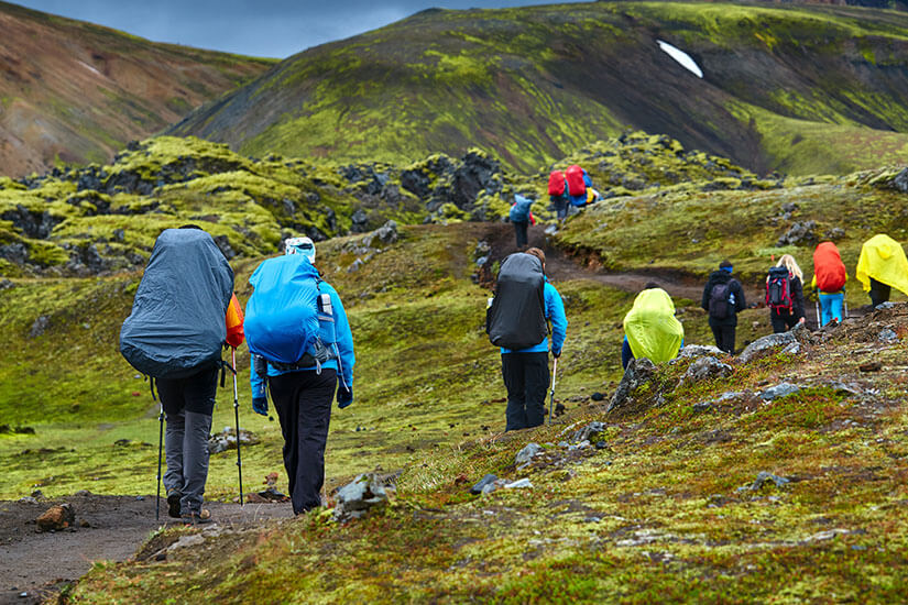 Eine Gruppe Wanderer in bunten Regenjacken zieht mit großen Rucksäcken und Trekkingstöcken hintereinander einen schmalen Pfad durch moosbewachsenes Lavagelände hinauf. Singlereisen Island