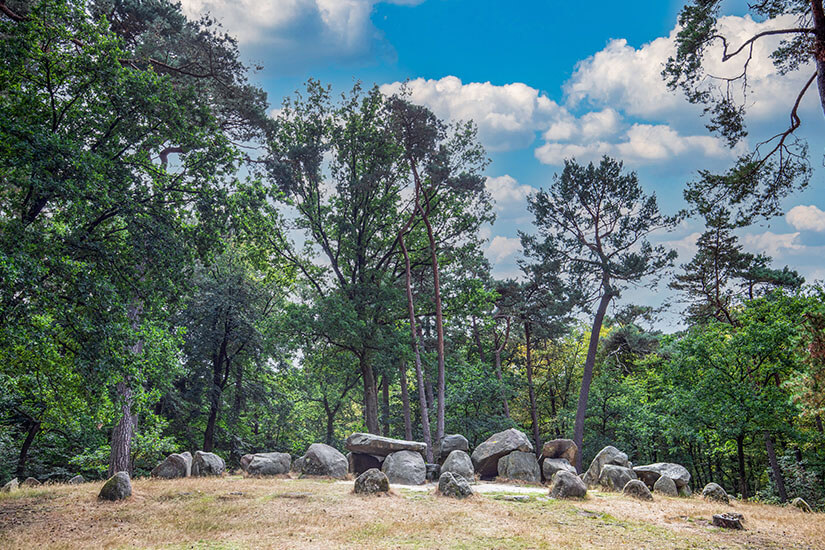 Ein prähistorisches Hünengrab im Waldgebiet Emmerdennen, eingebettet zwischen hohen Kiefern und Laubbäumen. Die massiven Findlinge wurden vor rund 5.000 Jahren von der Trichterbecherkultur aufgeschichtet. Emmen Niederlande Huenengraeber