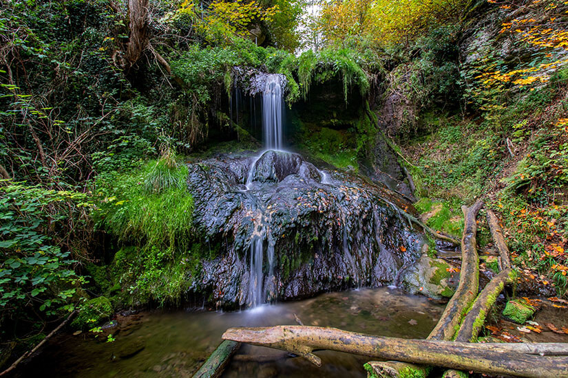 Ein kleiner Wasserfall ergießt sich in ein Becken. Viel Grün umgibt ihn. Ueberlingen Deutschland Wandern