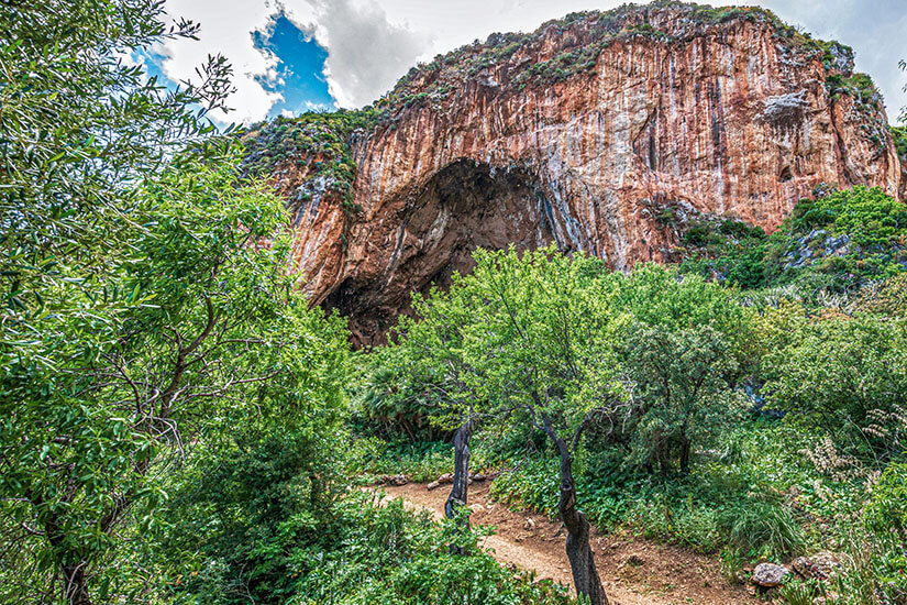 Ein schmaler Pfad führt durch dichtes, grünes Gebüsch zur riesigen Öffnung der Grotta dell’Uzzo. Die gewaltige Höhle liegt am Fuß einer steilen, rötlich-braunen Felswand im Naturschutzgebiet Zingaro nahe San Vito Lo Capo. San Vito Lo Capo Italien Grotta dell Uzzo