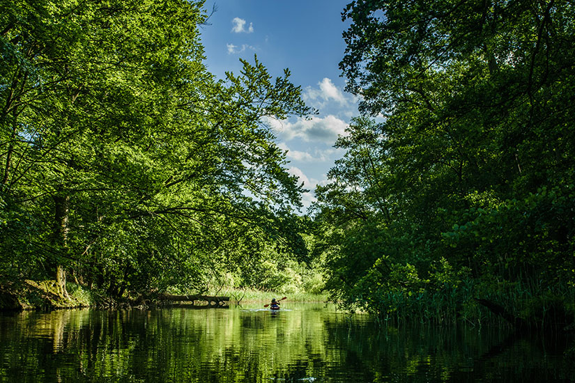 Zu erkennen ist ein schmaler, ruhiger Wasserweg, der von dichtem, sattgrünem Wald und Schilf gesäumt wird. In der Ferne paddelt eine Person mit einem Kajak oder Kanu durch die idyllische Naturlandschaft. Mecklenburgische Seenplatte Wasserwandern
