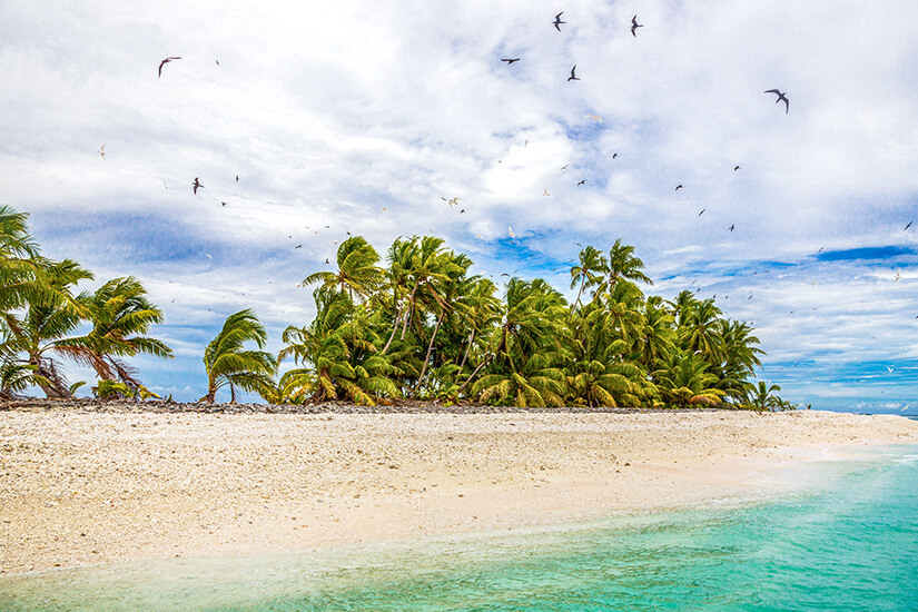 Windzerzauste Kokospalmen drängen sich auf einem schmalen, flachen Korallenstreifen, dessen heller Sand vom türkisgrünen Lagunenwasser umspült wird. Bedrohte Reiseziele Klimawandel Tuvalu