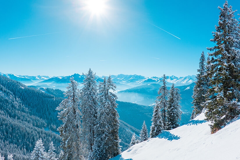 Schneebedeckte Fichten stehen an einem verschneiten Hang, von dem der Blick über dunkelgrüne Nadelwälder bis zu einer weiten Kette blau schimmernder Gipfel reicht. Bischofshofen Hochkoenig